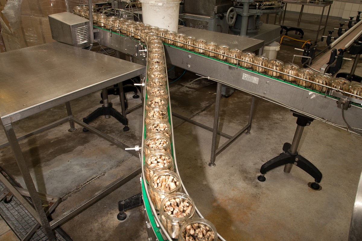 Ризьке золото