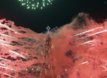 2010 год