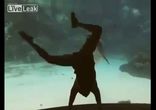 Девушке удалось рассмешить дельфина !!!