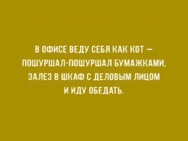 Открытки, смешные высказывания про работу картинками