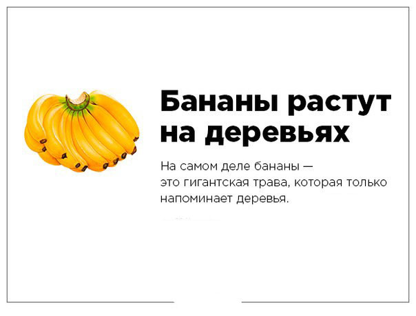 Разрушители мифов