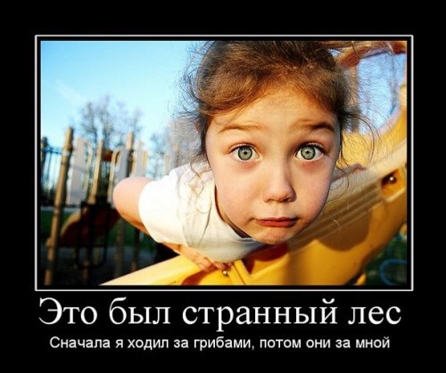 Подборка демотиваторов