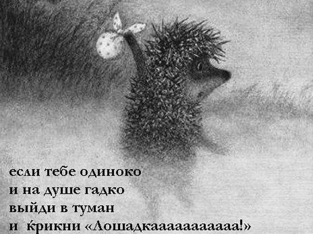 прикольные картинки ежик в тумане