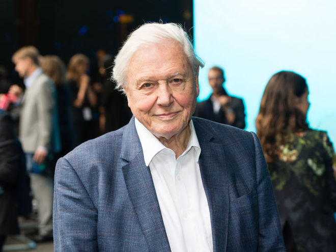 Дэвид Аттенборо