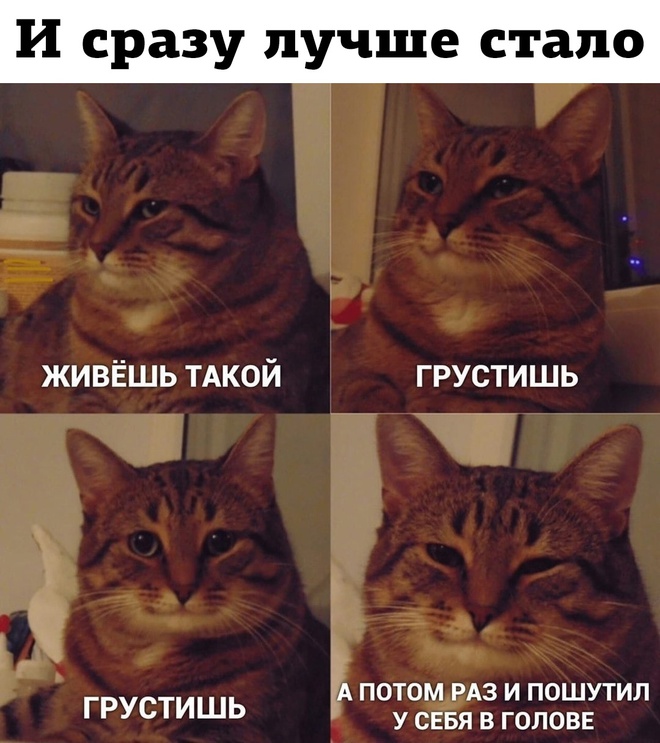 Когда грустишь