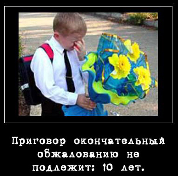 ТОП лучших демотиваторов про школьников