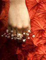 Аксесуари Dior