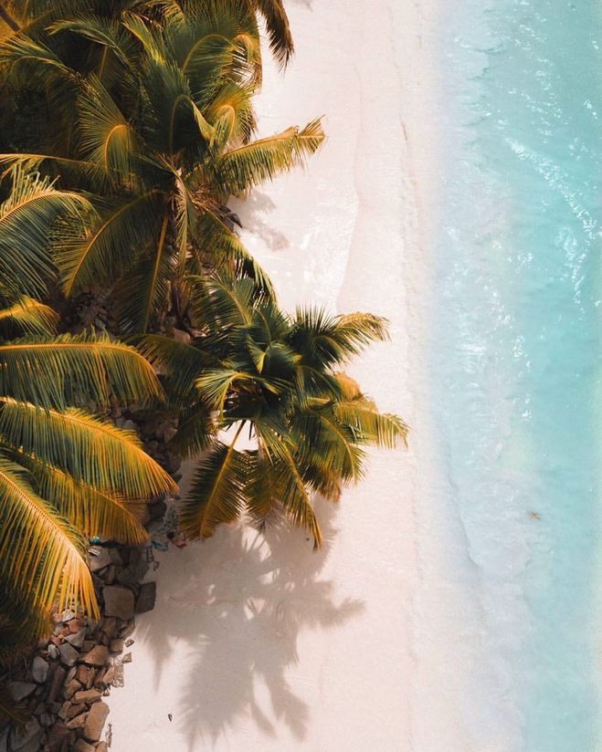 Африка: интересные факты о самом жарком континенте