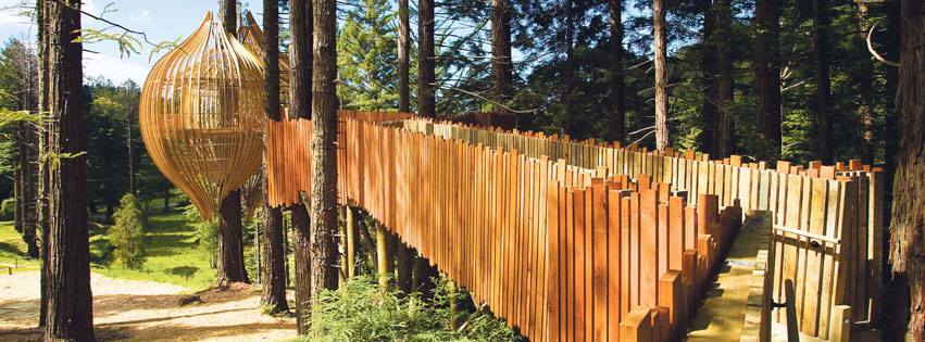 10 самых оригинальных ресторанов мира: Redwoods Treehouse. Окленд, Новая Зеландия