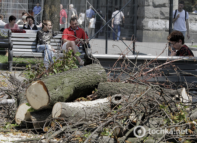 В фан зоне Евро 2012 спилили деревья