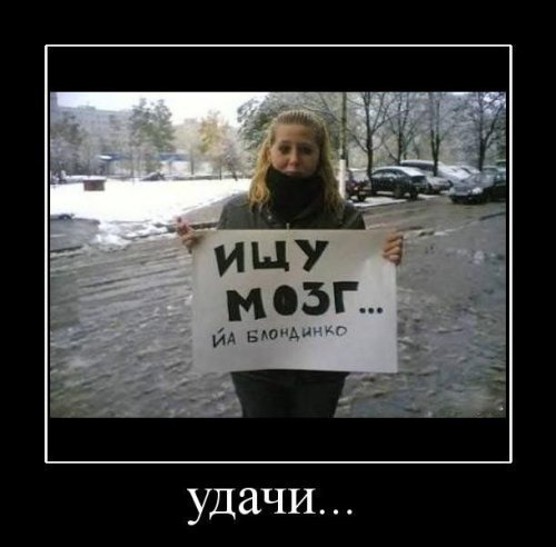 Демотиваторы о блондинках