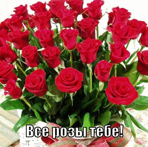 Все розы тебе!