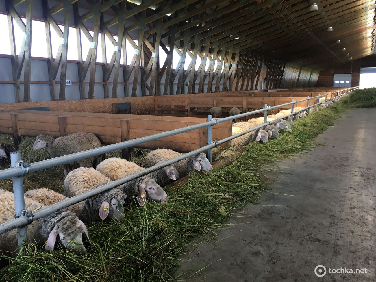 Фермерское хозяйство "Меринос-Захід"