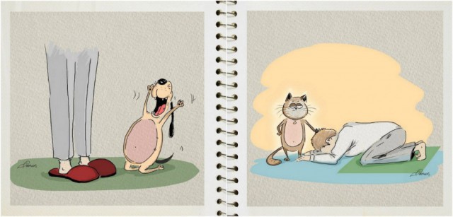 Комикс про жизнь котов и собак