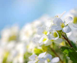 Гороскоп на квітень 2026 року для всіх знаків зодіаку