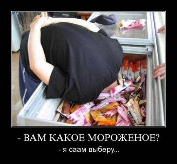 ТОП лучших демотиваторов про жару