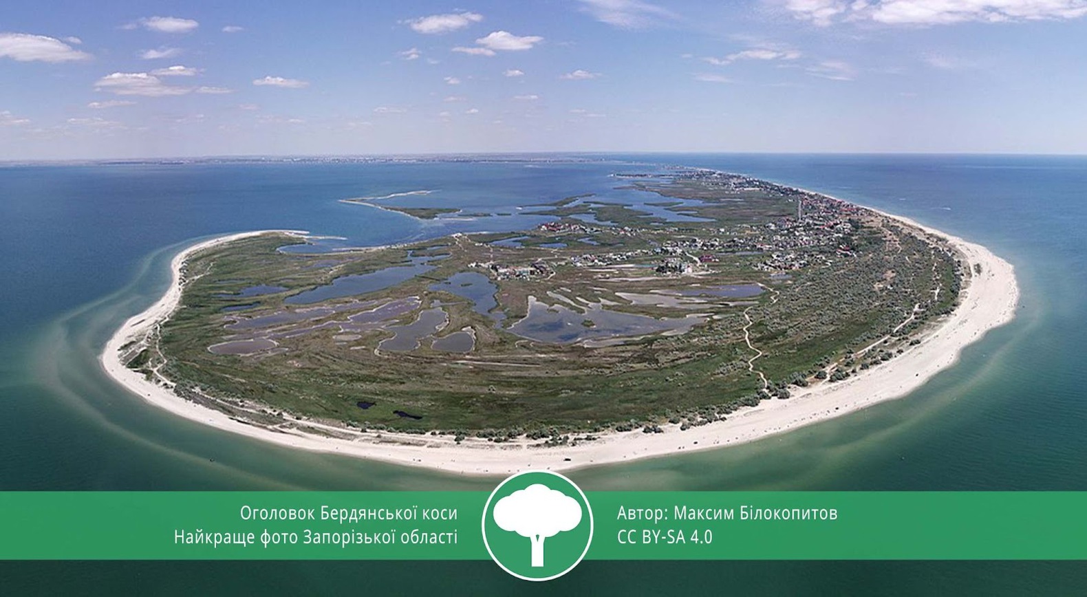 Вики любит Землю 2021