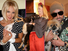 Звезды и животные