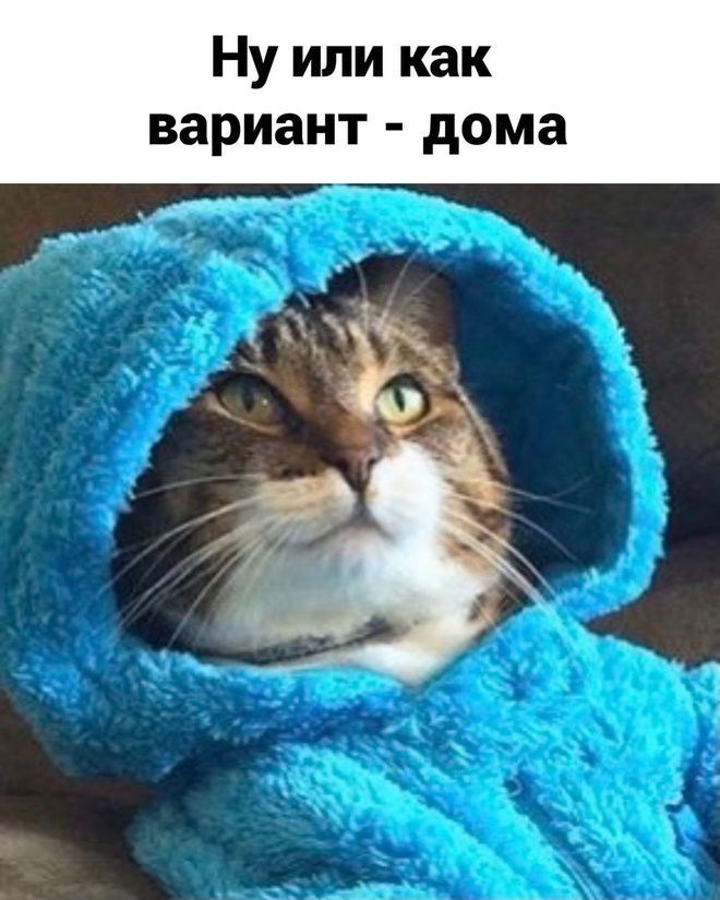 Планы на Новый год
