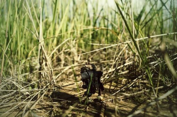 #ПутешествиеСосновойШишки часть 4