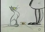 Очень голодный кот )))