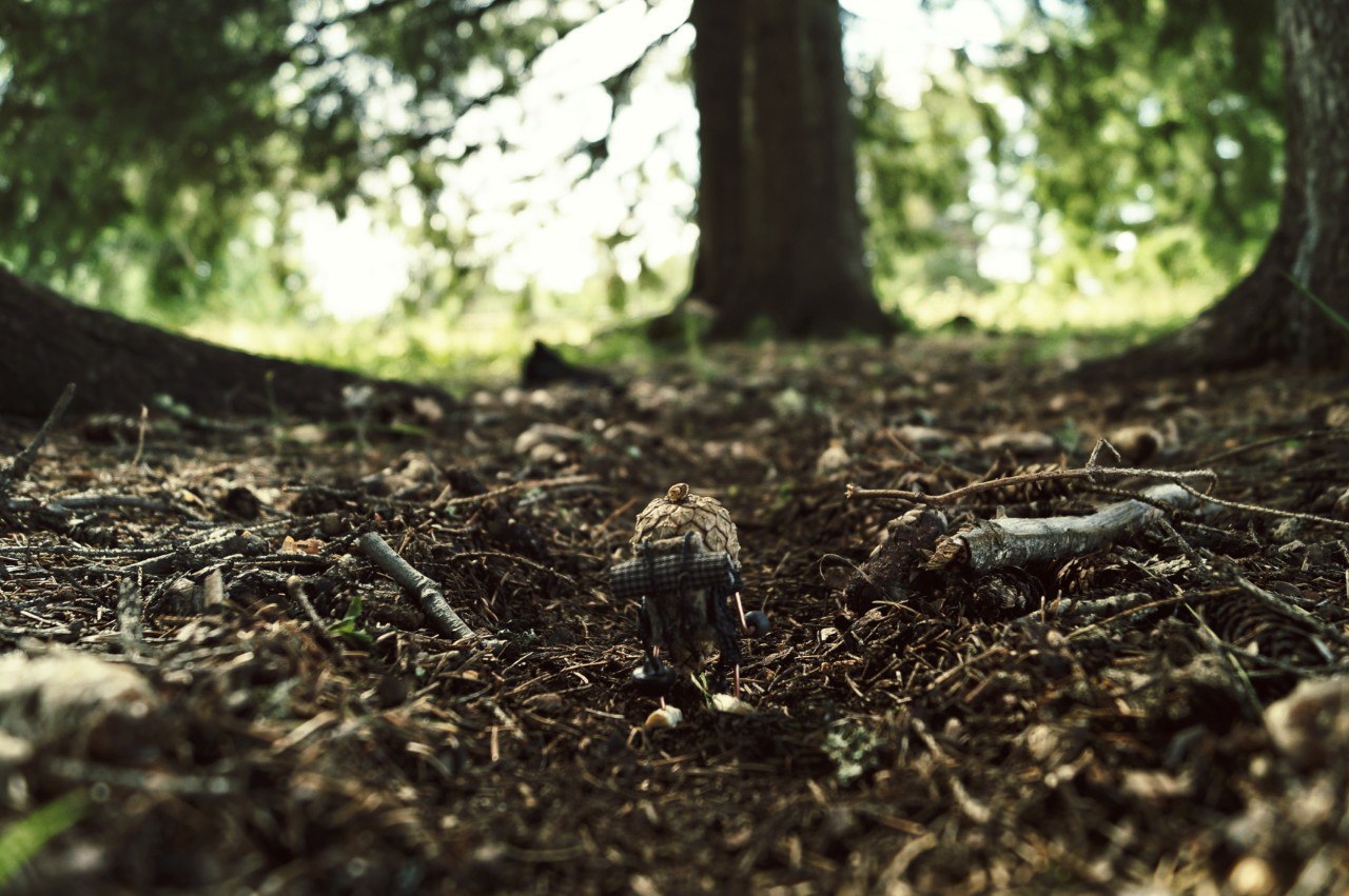 #ПутешествиеСосновойШишки часть 4