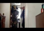 Жестокий розыгрыш с хищником