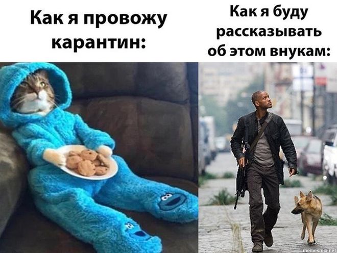 Коронавирус и внуки