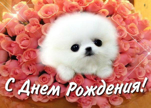 Позитивного Дня Рождения