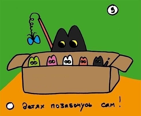 Одинокий котэ ищет любовь