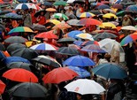Парасоля розфарбує осінь Парасоля розфарбує осінь