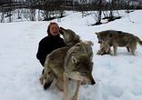Стая волков полюбили девушку
