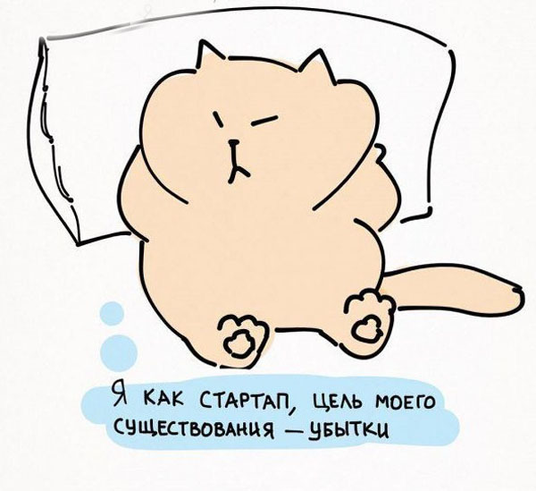 10 полезных советов от котика. Как надо относиться к жизни
