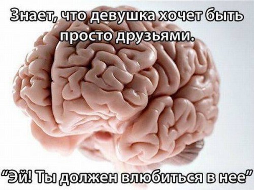 Проделки нашего мозга