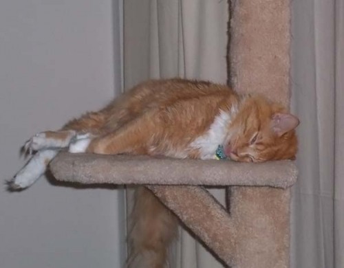 Работаю над стрессоустойчивостью