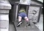 животные и дети    