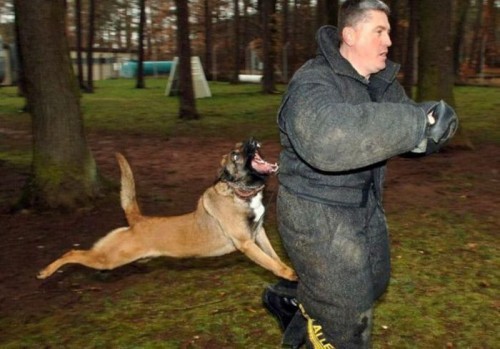 Защитники отечества