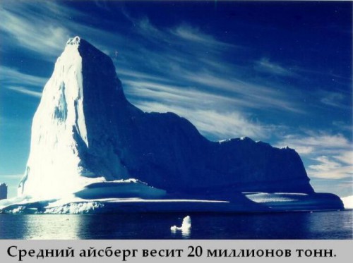 Топ интересных фактов