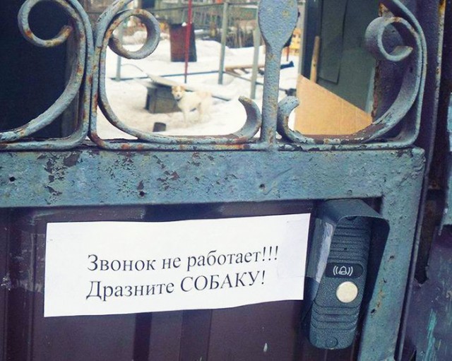 Маразмы месяца