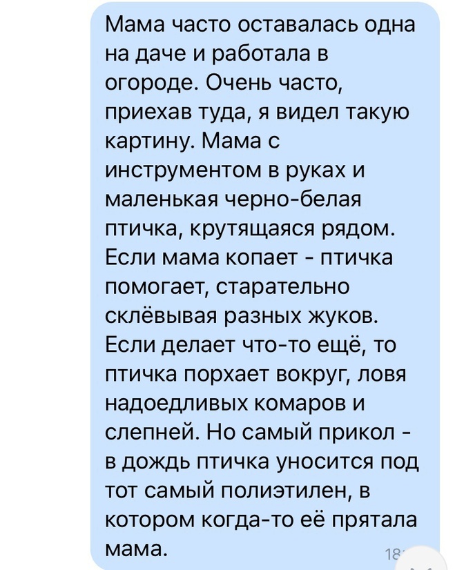 Мы будем ждать тебя