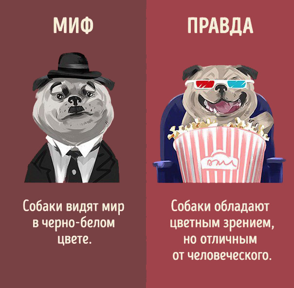 Интересно знать! Мифы и реальность