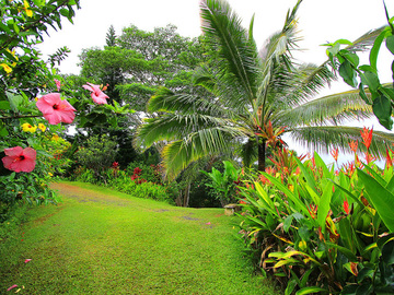сады острова Мауи