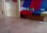 Котяий дрифт