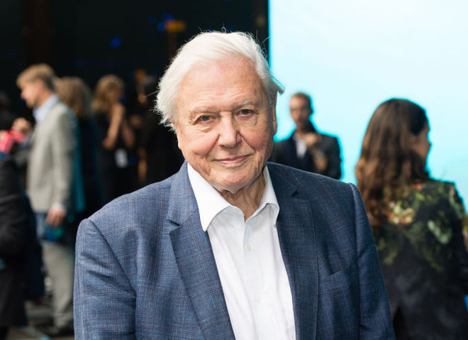 Дэвид Аттенборо