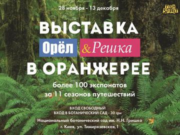 выставка орел и решка