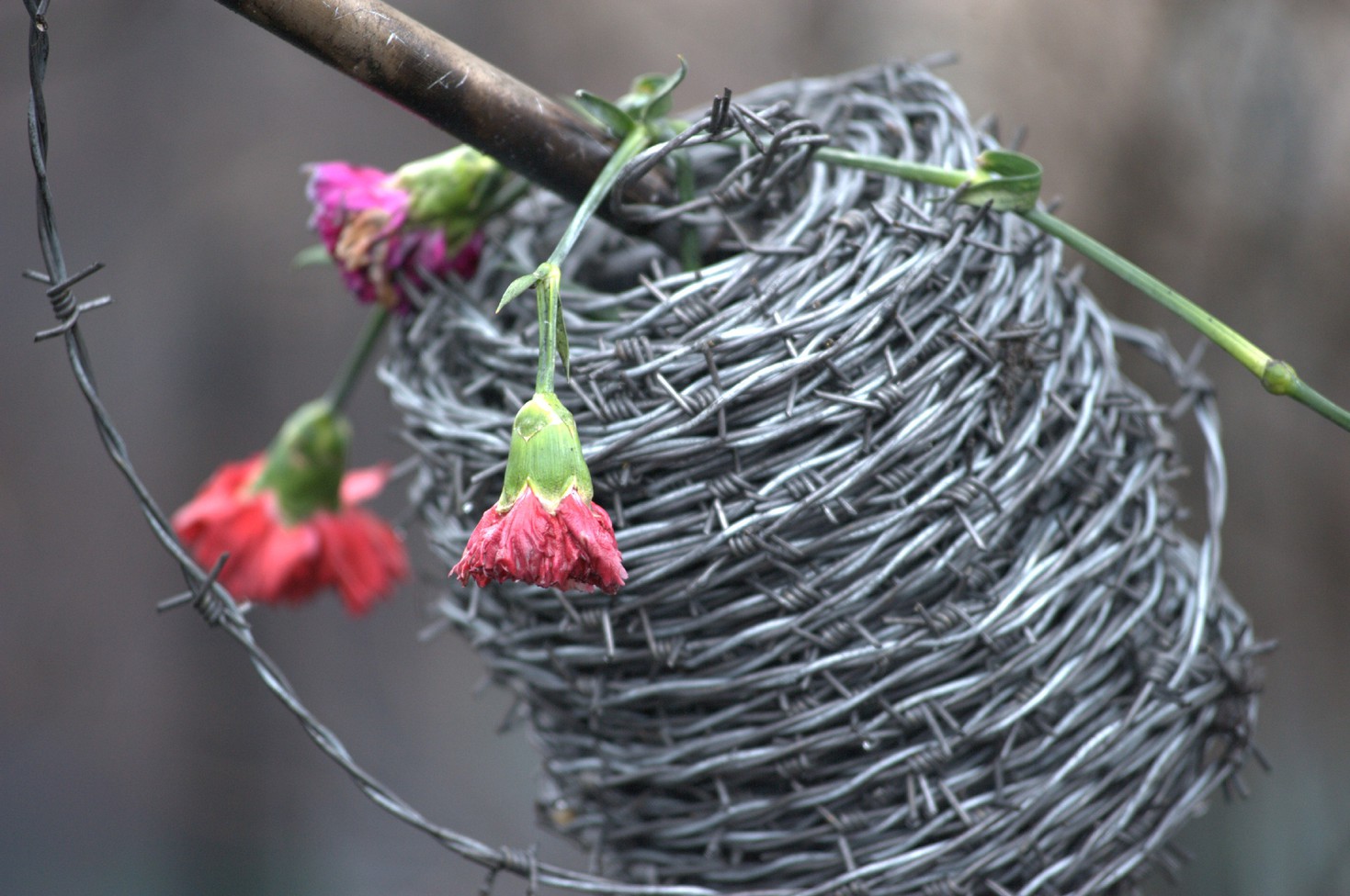 Революція Гідності