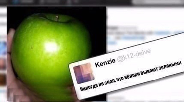 ТОП самых тупых комментариев в мире