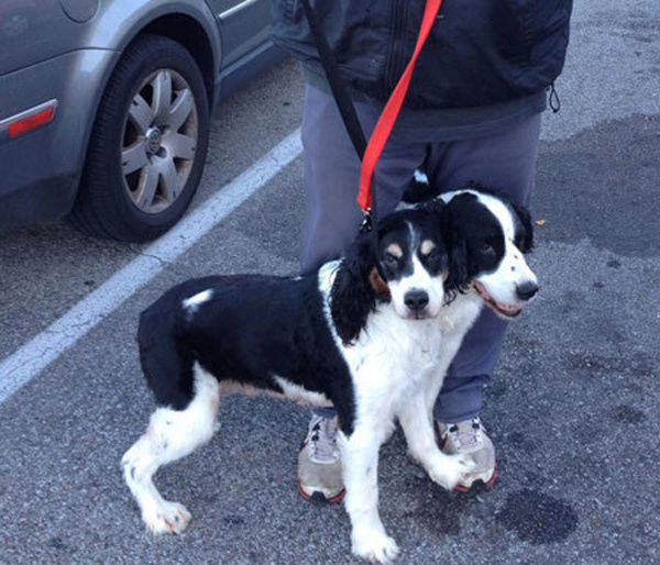 Ах, нет... показалось