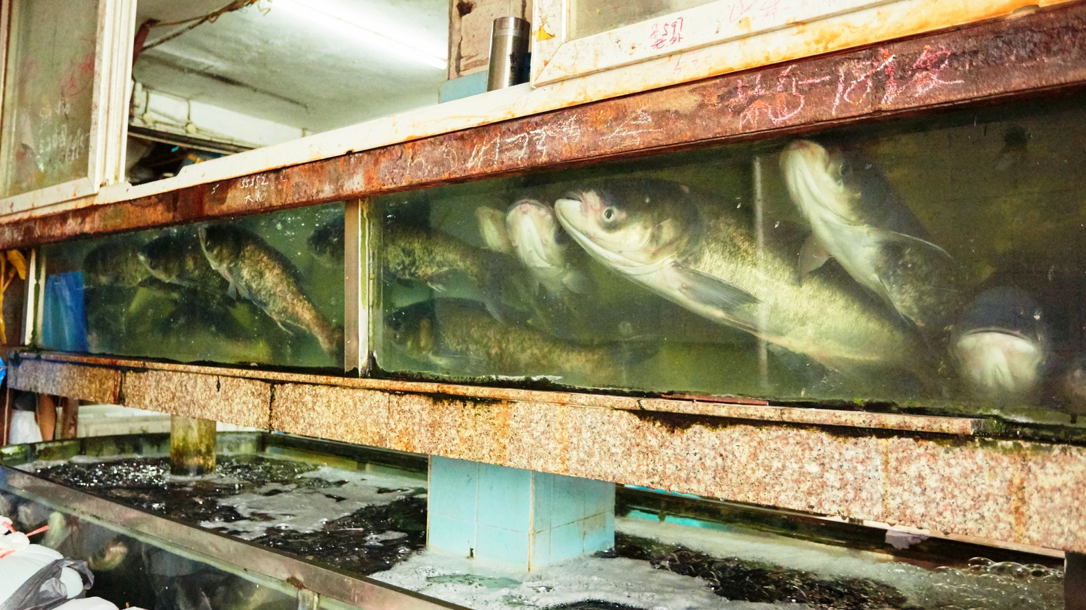 Інший Всесвіт очима популярного фотографа Андрія Саримсакова. Шанхай