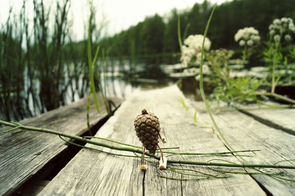 #ПутешествиеСосновойШишки часть 1